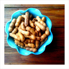 Maryland Style Boiled Peanuts