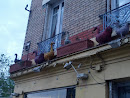 Houilles, Les Oies Sur Le Balcon