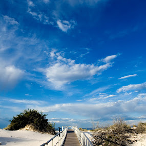 White Sands  by Julie Michelena - Travel Places