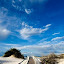 White Sands  by Julie Michelena - Travel Places