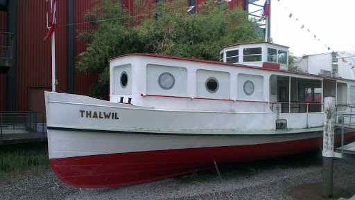 MS Thalwil