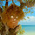Planeta Holbox