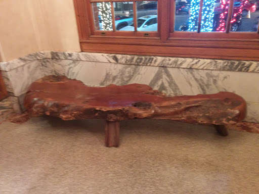 Fossilized Bench