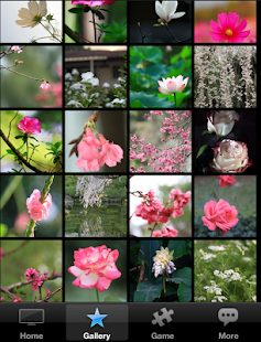 How to mod Flowers HD Wallpapers 1.4 unlimited apk for pc