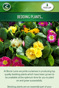 How to get Brook Lane Garden Nursery patch 1.0.0 apk for bluestacks