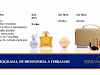 Distribuidoras Por Catalogo Para Terramar Brands