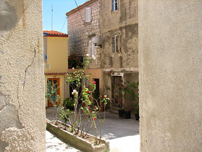 IMG_5682.JPG