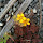 hookgv