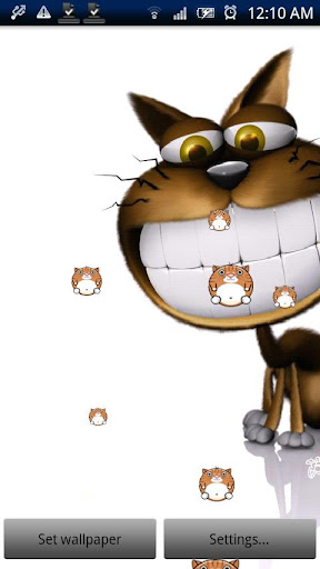 Funny Cat Live Wallpaper Pro