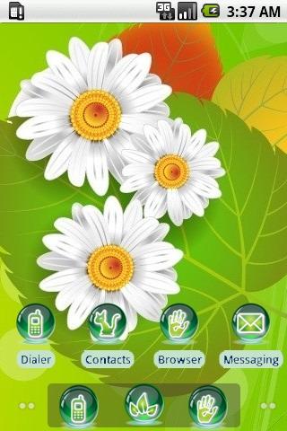 Chrysanthemum [SQTheme] ADW