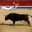 BullMatrix by Valentyn Kolesnyk - News & Events World Events ( rekorte, boldness, courage, bull, agility )