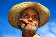 Pack De 5 Habanos De Alta Gama 
