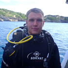SeanWeekly
