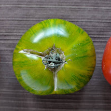 Broiled Asiago Heirloom Tomatoes