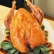 Slow-Roasted Heritage Turkey with Orange and Sage