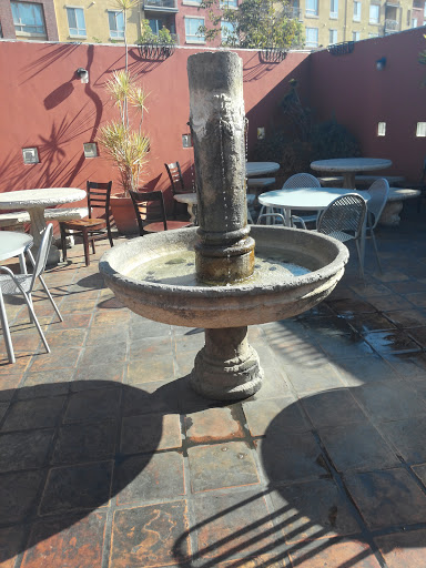 Fountain at Señor Fish