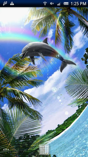 【免費個人化App】Dolphin-Champion!Free-APP點子