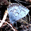 Spring Azure