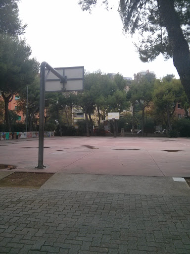Campo Basket 