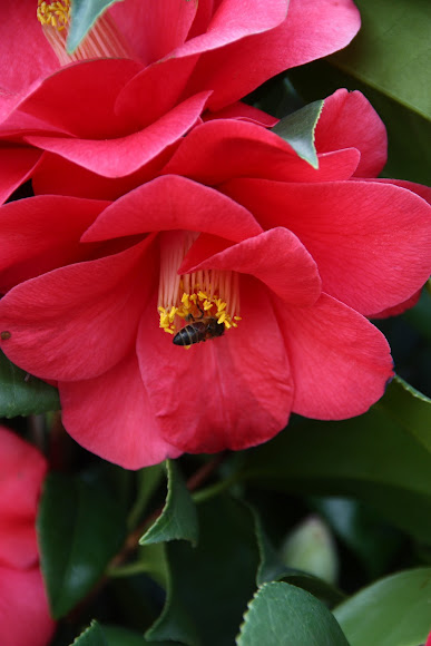 Spotting Image 1
