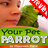 Your Pet Parrot Preview mobile app icon