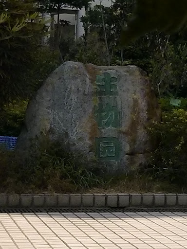 生物园大石头