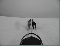 P1010567