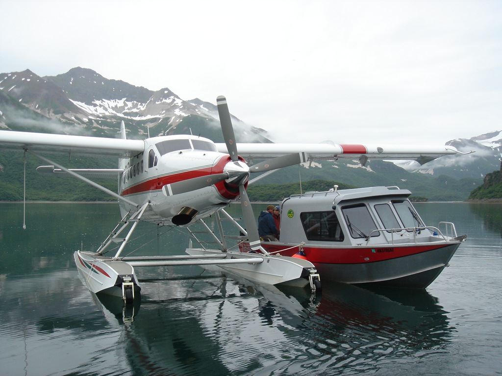[DSC04444[4].jpg]