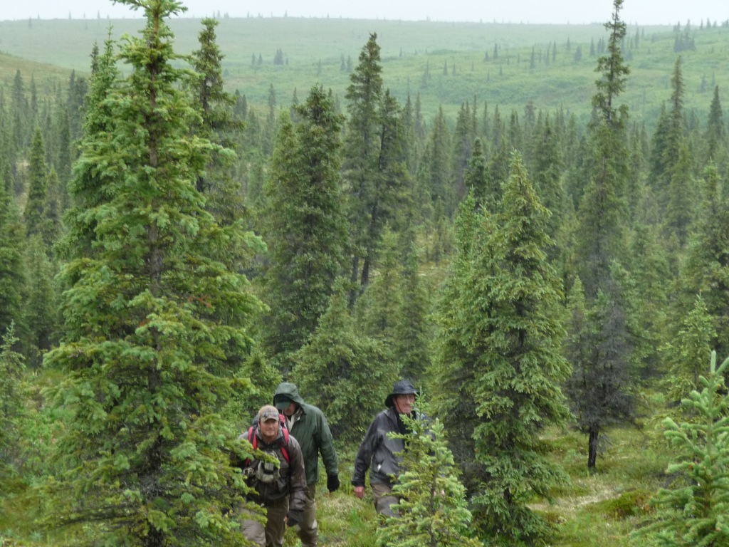 [P1010411[1].jpg]
