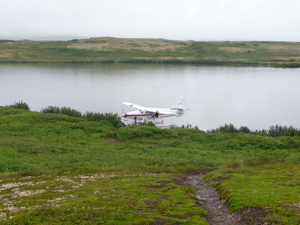 [P1010422[5].jpg]