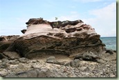 IMG_0216 (Medium)