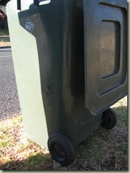 IMG_0854 (Medium)