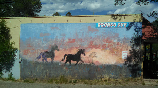 Bronco Sue Mural