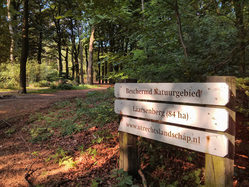 Nature Reserve 'Laarsenberg' -West 