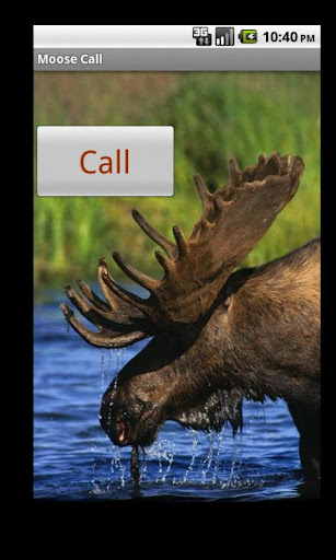 Moose Call