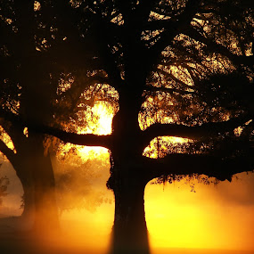 Early morning sunrise by Raymond Earl Eckert - Artistic Objects Other Objects