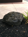 Smiling Rock