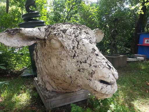 Giant Sheeps Head