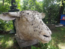 Giant Sheeps Head