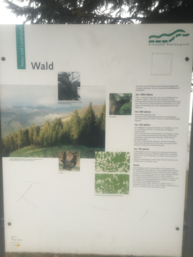 Wald-Tafel