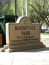 Roosevelt Park 