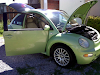 Remato Beetle Seminuevo