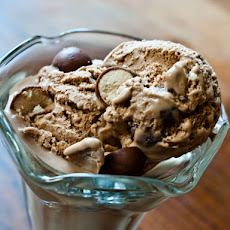 Malted Milk Chocolate Ice Cream