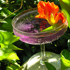 A violet crush