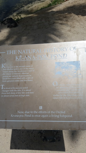 Natural History Of Ke-ana-pou Pond