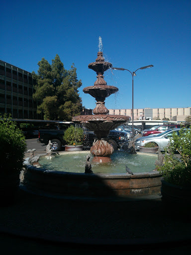 The Grand Fountain