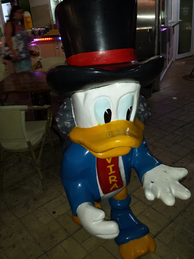 Duck In The Street