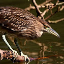 Savacu