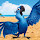 IbrahemAQ
