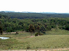 Inventarios Forestales